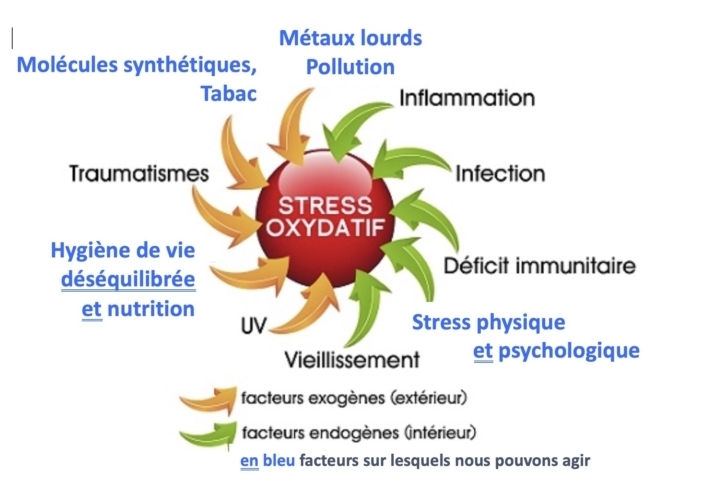 Bilan Stress Oxydant Labo Mgd