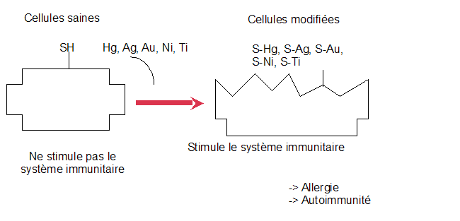 melisa-intox