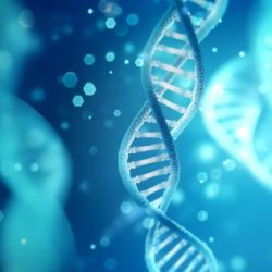 Laboratoire MGD Genève - Tests génétique préventive