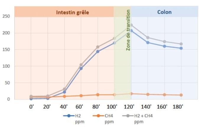 Laboratoire d'Analyses médicales Labo MGD : exemple de test Sibo
